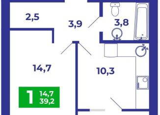 1-комнатная квартира на продажу, 39.2 м2, село Мариинский