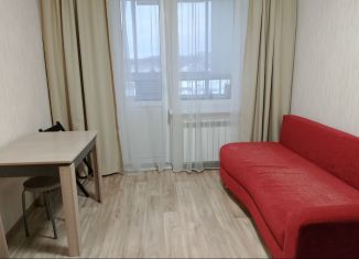 Сдам в аренду 1-ком. квартиру, 31.9 м2, сельский посёлок Новинки, 2-я Дорожная улица, 19