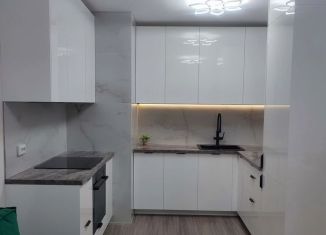 Сдаю однокомнатную квартиру, 34.1 м2, посёлок Парголово, Заречная улица, 46к2