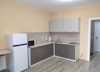 Сдаю квартиру студию, 28.5 м2, Екатеринбург, Новосинарский бульвар, 7