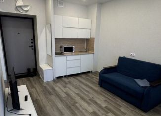 Сдача в аренду многокомнатной квартиры, 35 м2, Иркутск, улица Мира, 32