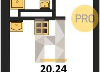 Продается квартира студия, 20.2 м2, Воронеж, Центральный район, Транспортная улица, 58