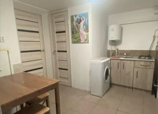 1-ком. квартира на продажу, 22.9 м2, Краснодар, улица Мира, 63, улица Мира