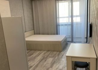 Сдается квартира студия, 22.6 м2, Екатеринбург, улица Лыжников, 3