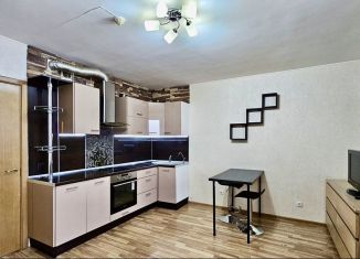 Продаю квартиру студию, 25.8 м2, Кудрово, Европейский проспект, 13к1, ЖК Прогресс