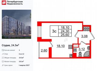 Квартира на продажу студия, 24.3 м2, Санкт-Петербург, Приморский район