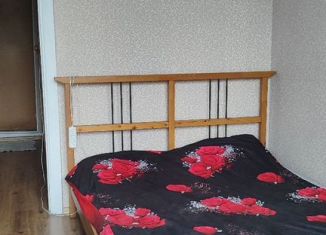 Сдам квартиру студию, 16 м2, Новосибирск, улица Палласа, 3