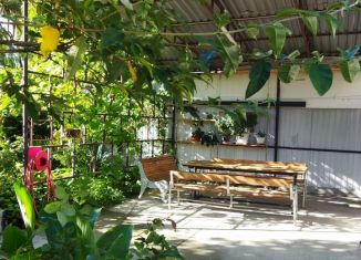 Сдам в аренду дом, 50 м2, Сириус, Луговая улица, 14/4