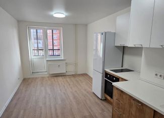 Сдается в аренду квартира студия, 21.5 м2, Колпино, Загородная улица, 45к3