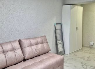 Продажа квартиры студии, 24.9 м2, Сочи, Крымская улица, 67/1, микрорайон Мамайка