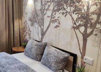 Сдается в аренду двухкомнатная квартира, 77 м2, Ставрополь, улица Ашихина, 41, микрорайон № 9