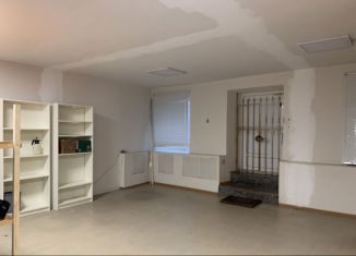 Помещение свободного назначения в аренду, 44 м2, Санкт-Петербург, Шпалерная улица, 13, метро Чернышевская