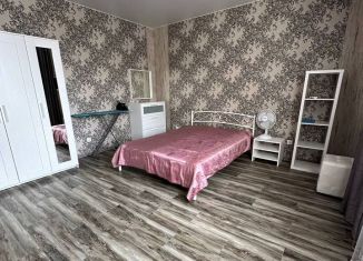 Сдача в аренду 1-ком. квартиры, 42 м2, Татарстан, улица Сибгата Хакима