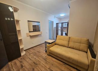 Квартира на продажу студия, 23.5 м2, Мурино, проспект Авиаторов Балтики, 25, ЖК Авиатор