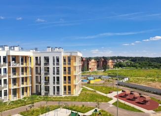 Трехкомнатная квартира на продажу, 69.5 м2, деревня Раёво, Ирландская улица, 4к1