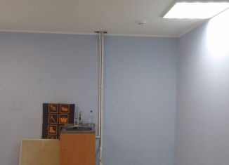 Сдам в аренду помещение свободного назначения, 33 м2, Брянск, Авиационная улица, 8, Советский район