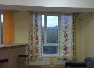 Сдам квартиру студию, 32.9 м2, село Раздольное, Прямая улица, 14