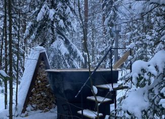 Сдаю в аренду дом, 30 м2, деревня Красный Огорок