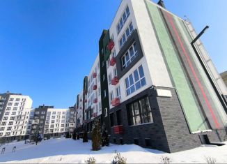 Двухкомнатная квартира на продажу, 57.8 м2, деревня Ветошниково, улица Ивана Спатара, 16/1