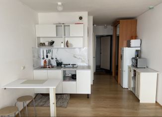 Сдам в аренду квартиру студию, 24.2 м2, Екатеринбург, Рощинская улица, 28