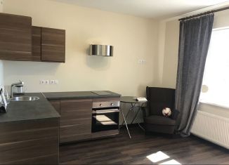 Продаю квартиру студию, 26.6 м2, Санкт-Петербург, Приморский проспект, 52к1, метро Старая Деревня
