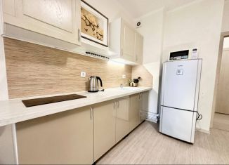 Квартира в аренду студия, 31.4 м2, Екатеринбург, улица Чайковского, 66А
