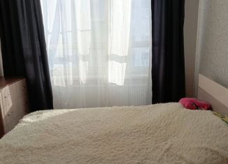 Сдаю однокомнатную квартиру, 33 м2, посёлок Парголово, Брюлловская улица, 5, ЖК Континенты