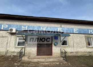 Продажа помещения свободного назначения, 264 м2, рабочий посёлок Навля, улица Мелиораторов, 6А