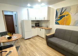 Сдам в аренду квартиру студию, 20 м2, Ломоносов, Михайловская улица, 51