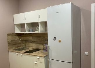 Аренда квартиры студии, 23 м2, деревня Крёкшино, улица Медовая Долина, 3к2