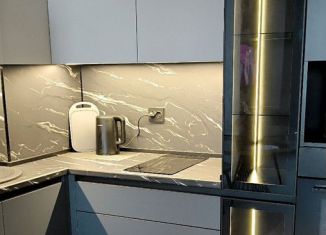 Сдается 1-комнатная квартира, 42 м2, Псков, улица Алексея Алёхина, 14