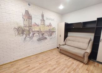 Сдам в аренду квартиру студию, 17 м2, Бердск, Новосибирская улица, 4