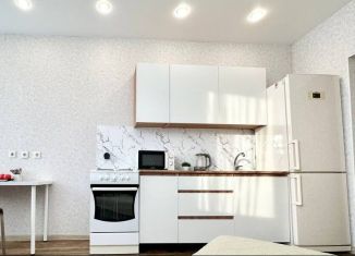 Аренда 1-комнатной квартиры, 41.7 м2, Екатеринбург, улица Циолковского, 27, ЖК Премьер