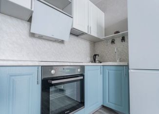 Сдам в аренду квартиру студию, 23 м2, Мурино, Петровский бульвар, 14к5, ЖК Краски Лета