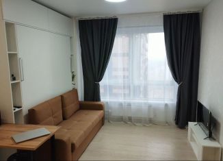 Сдаю квартиру студию, 20 м2, Москва, проезд Стройкомбината, 1, ЗАО