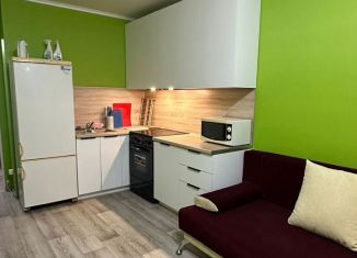 Сдам квартиру студию, 30 м2, Республика Башкортостан, Сливовая улица, 12