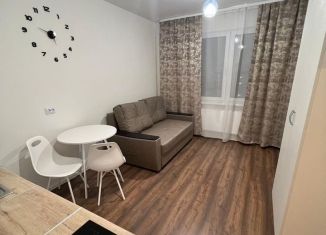 Сдается квартира студия, 20 м2, Санкт-Петербург, Муринская дорога, 31к1, метро Академическая