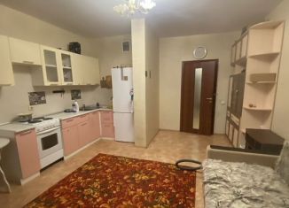 Сдается в аренду однокомнатная квартира, 45 м2, Татарстан, 2-я Юго-Западная улица, 39