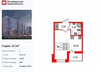 Квартира на продажу студия, 24.3 м2, Санкт-Петербург, муниципальный округ Коломяги