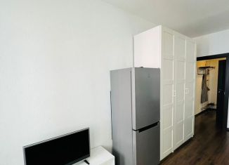 Продам квартиру студию, 24.8 м2, Санкт-Петербург, Кондратьевский проспект, 68к4, Калининский район