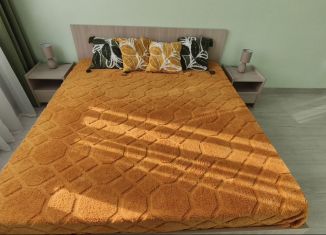 Сдается 1-ком. квартира, 37 м2, деревня Крёкшино, улица Медовая Долина, 1к2