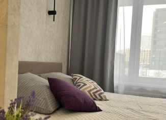 Сдаю квартиру студию, 27 м2, Екатеринбург, Тенистая улица, 6