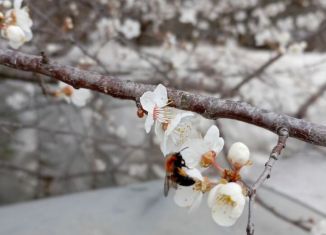 Земельный участок на продажу, 4.5 сот., товарищество собственников недвижимости Аджимушкаец, Фруктовая улица