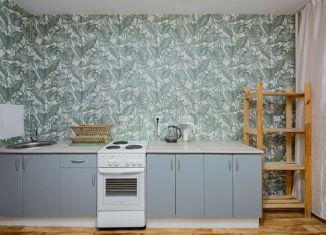 Продам 1-ком. квартиру, 36.6 м2, Тюмень, улица Николая Зелинского, 23, ЖК Домостроитель