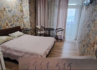 Сдам квартиру студию, 28 м2, Ростов-на-Дону, Береговая улица, 6, Ленинский район