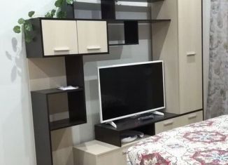 Сдача в аренду 1-ком. квартиры, 41 м2, Екатеринбург, улица Крестинского, 35, ЖК Октава