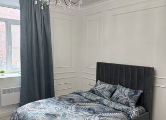 Сдается в аренду квартира студия, 28 м2, Ростов-на-Дону, улица Обороны, 36, Ленинский район