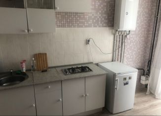 Сдается в аренду 1-ком. квартира, 29.6 м2, Калининград, улица Николая Карамзина, 36, ЖК Атлант