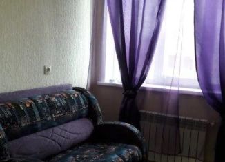 Квартира в аренду студия, 25 м2, Новосибирск, улица Сакко и Ванцетти, 77, метро Речной вокзал