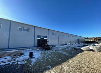 Сдаю склад, 2363 м2, деревня Разбегаево, Стрельнинское шоссе, 1А